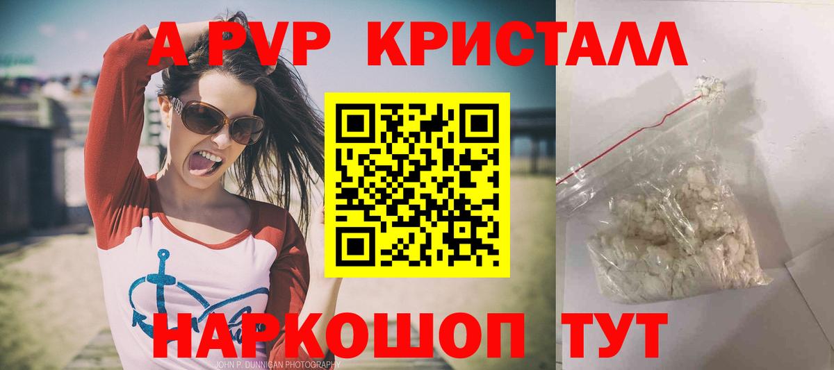 Альфа ПВП СК КРИС Будённовск